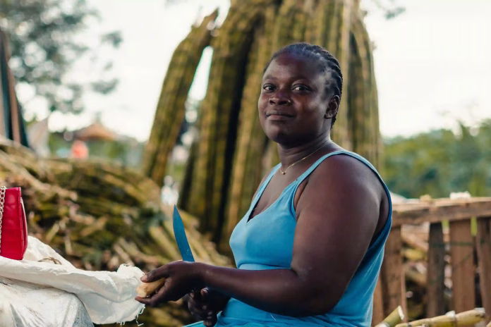 pexels-carbellsarfo-33740516